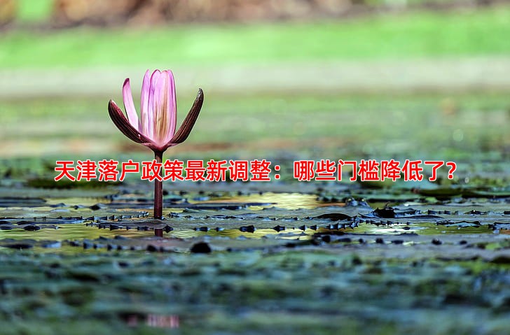 天津落户政策新调整：哪些门槛降低了？