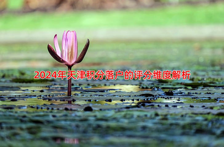 2024年天津积分落户的评分维度解析