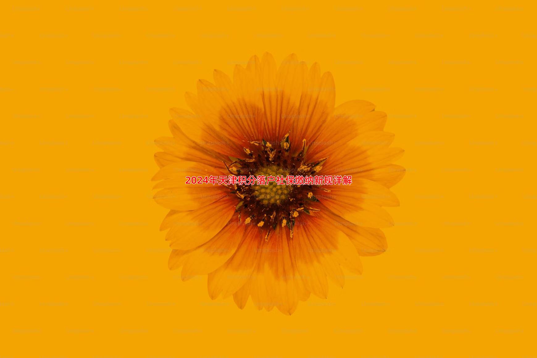 2024年天津积分落户社保缴纳新规详解