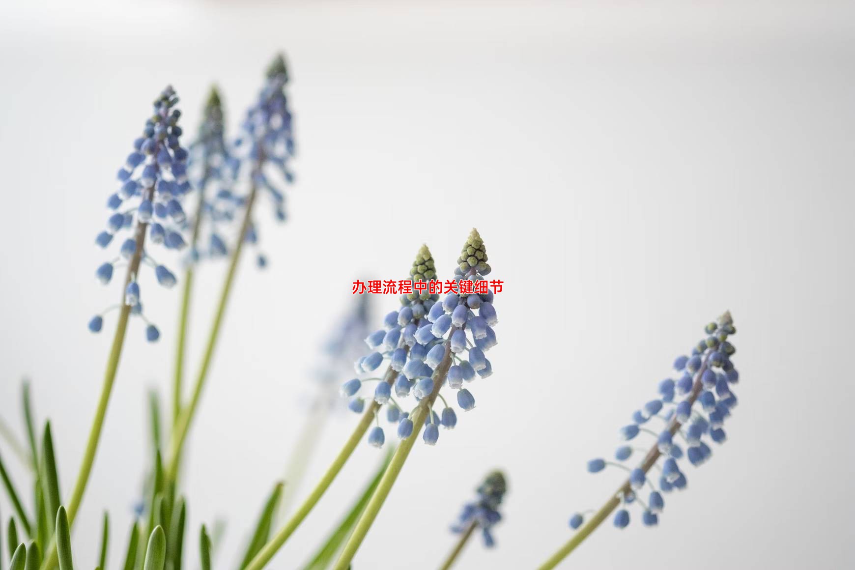 办理流程中的关键细节