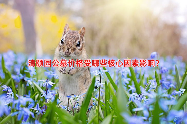清颐园公墓价格受哪些核心因素影响？