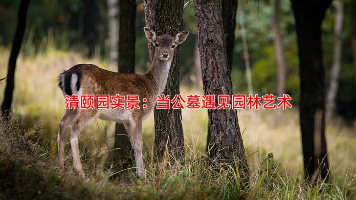 清颐园实景：当公墓遇见园林艺术