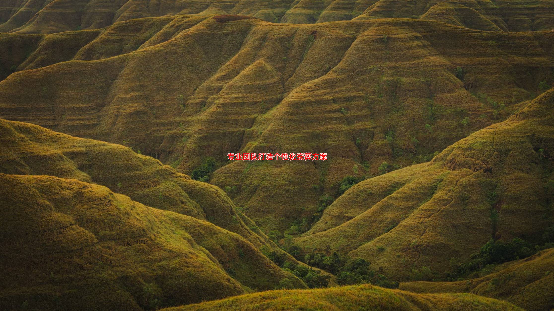 东华林公墓安葬服务有哪些特色？专业团队全程协助