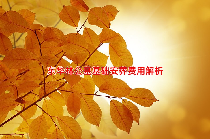 东华林公墓安葬费用包含哪些项目