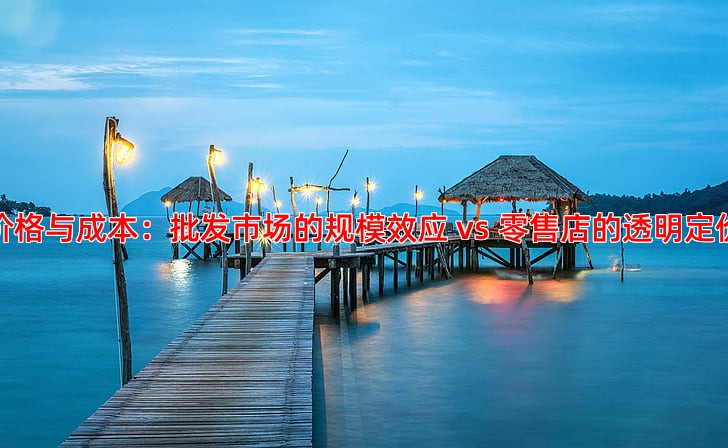 价格与成本：批发市场的规模效应 vs 零售店的透明定价