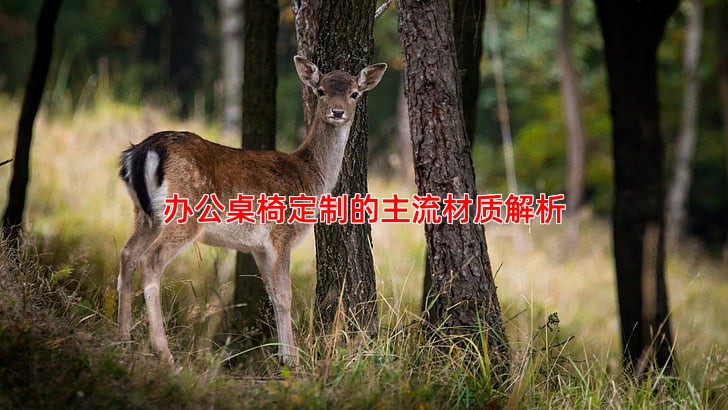 办公桌椅定制的主流材质解析