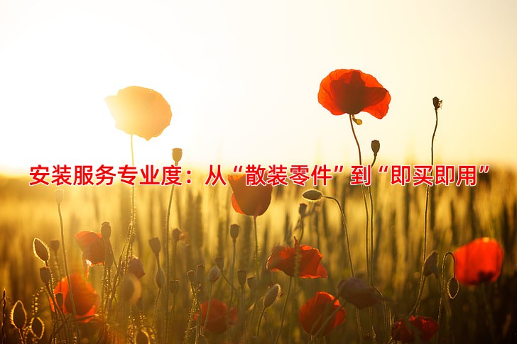 安装服务专业度：从“散装零件”到“即买即用”