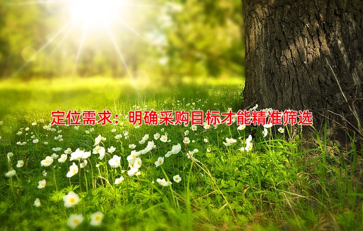 定位需求：明确采购目标才能精准筛选