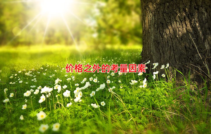 价格之外的考量因素