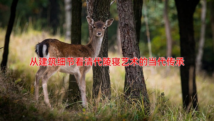 从建筑细节看清代陵寝艺术的当代传承