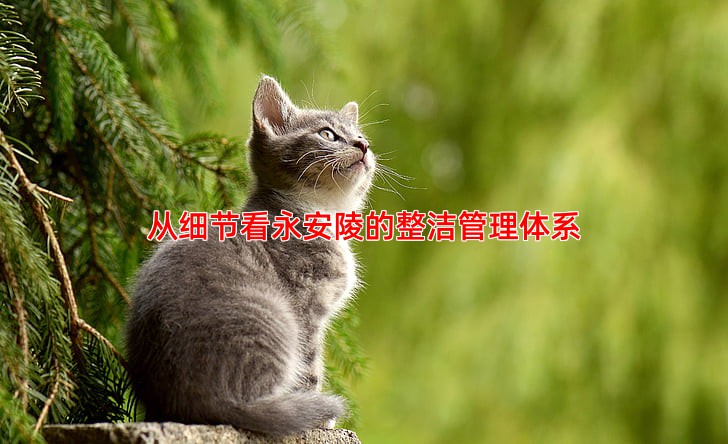 从细节看永安陵的整洁管理体系
