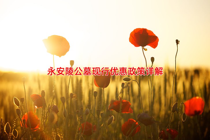 永安陵公墓购墓有哪些优惠政策？