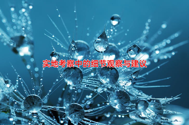 实地考察中的细节观察与建议