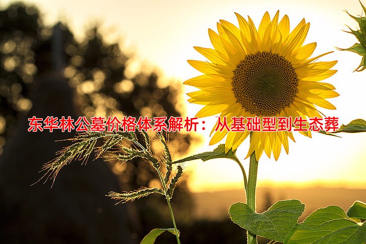 东华林公墓价格与周边公墓对比分析