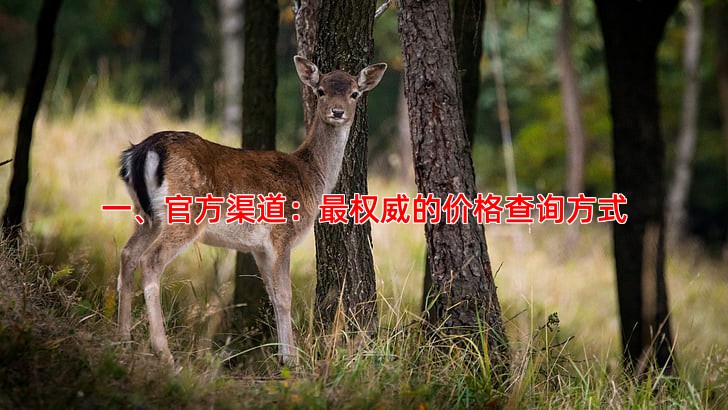 一、官方渠道：权威的价格查询方式