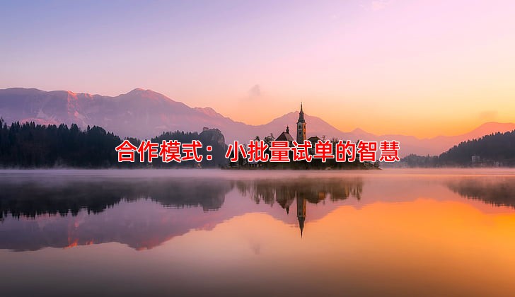 合作模式：小批量试单的智慧