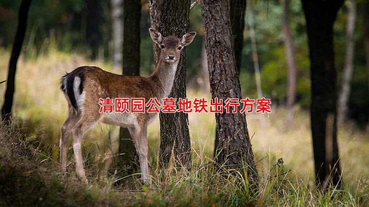 清颐园公墓地铁出行方案