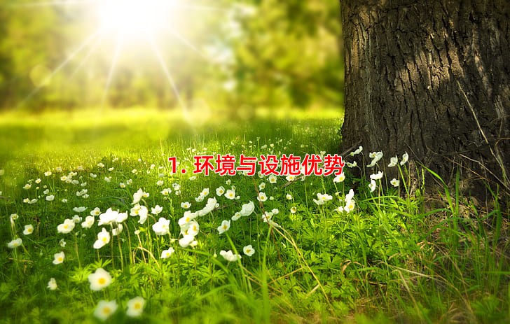 1. 环境与设施优势