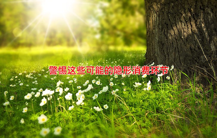 警惕这些可能的隐形消费环节