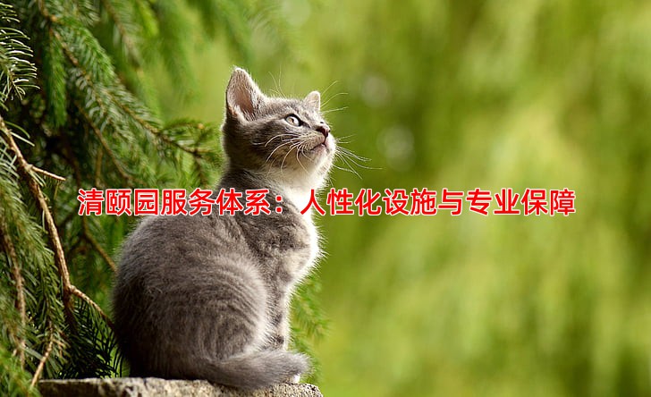 清颐园服务体系：人性化设施与专业保障