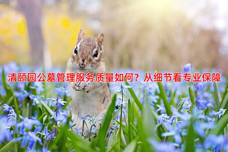 清颐园公墓管理服务质量如何？从细节看专业保障