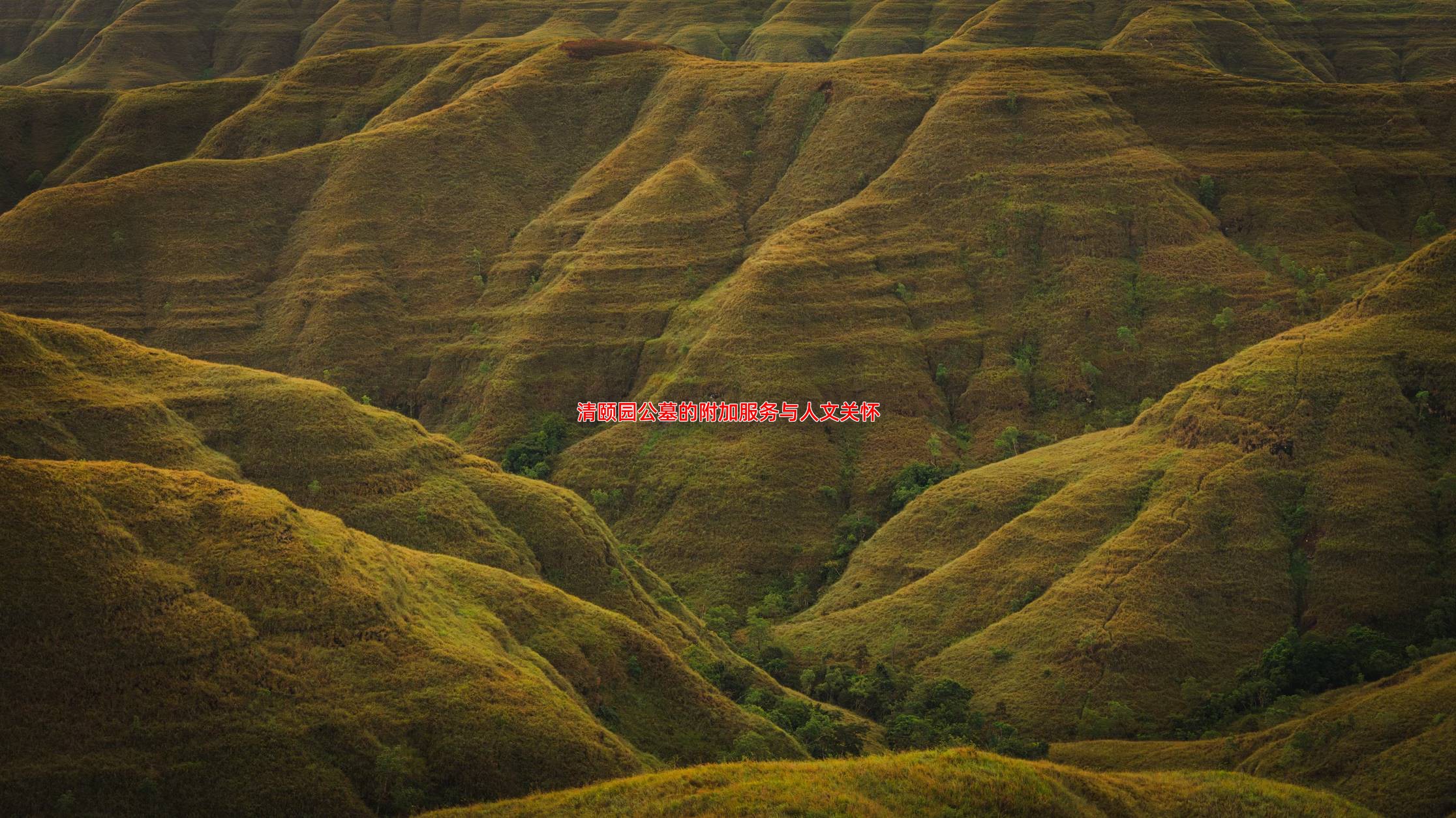 清颐园公墓的附加服务与人文关怀