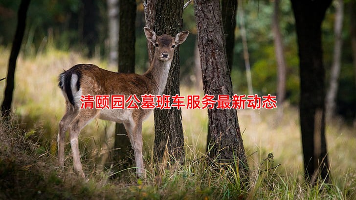 清颐园公墓班车服务新动态