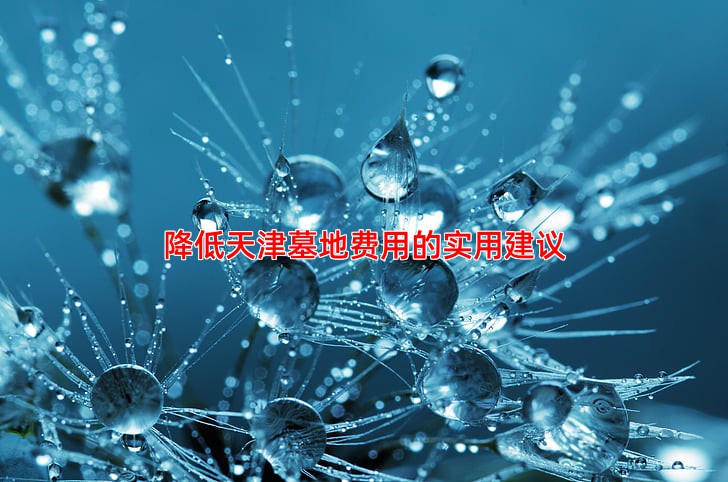 降低天津墓地费用的实用建议