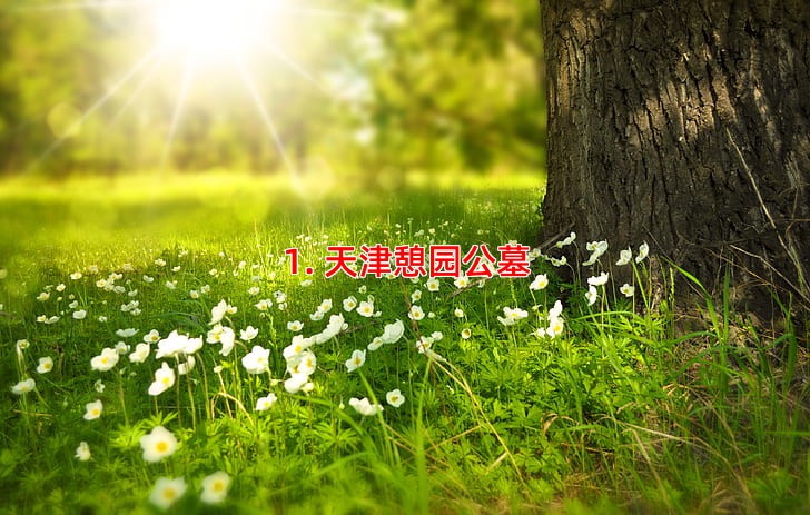 1. 天津憩园公墓