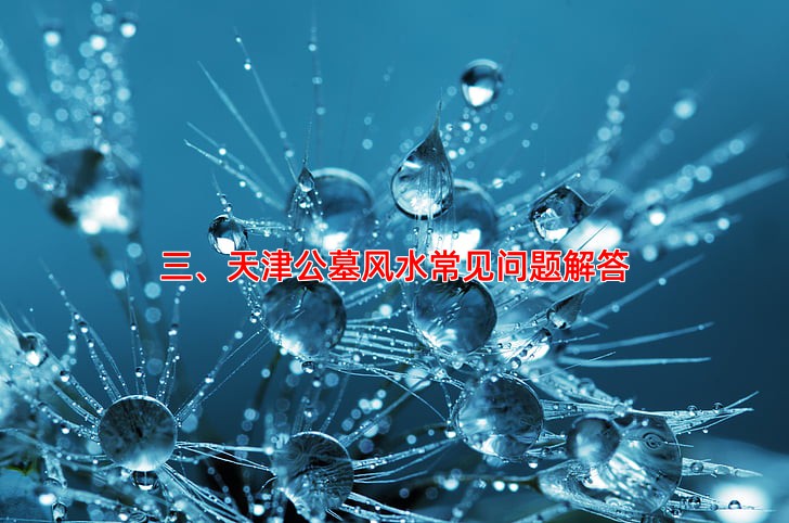 三、天津公墓风水常见问题解答