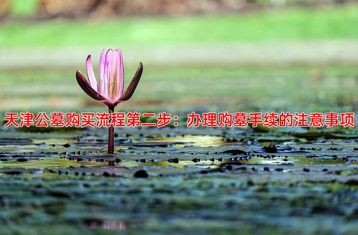 天津公墓购买流程第二步：办理购墓手续的注意事项