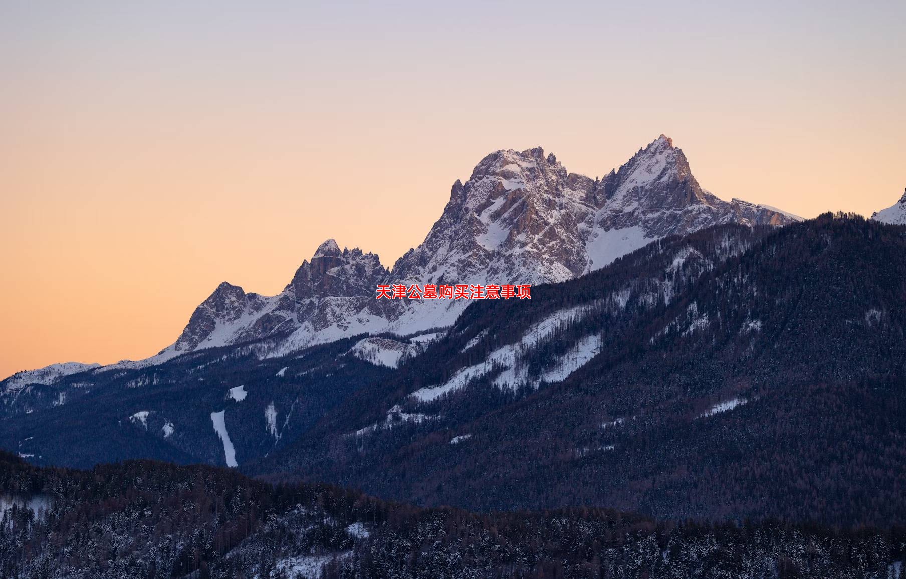 天津公墓购买注意事项