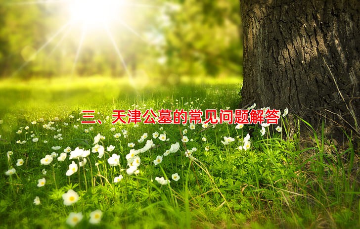 三、天津公墓的常见问题解答