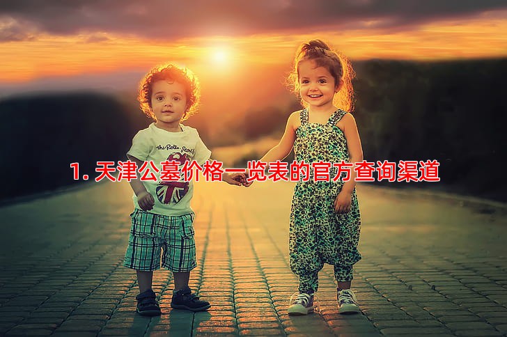 1. 天津公墓价格一览表的官方查询渠道