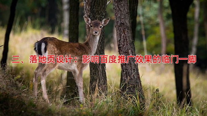 三、落地页设计：影响百度推广效果的临门一脚