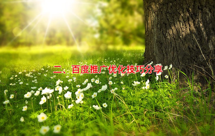 二、百度推广优化技巧分享