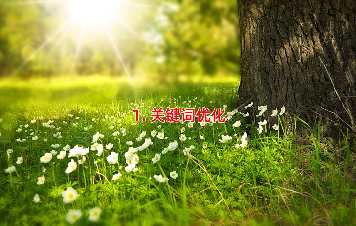 1. 关键词优化