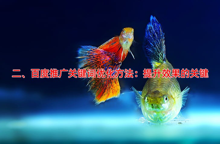 二、百度推广关键词优化方法：提升效果的关键
