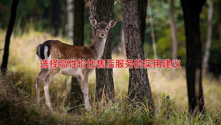 选择高性价比售后服务的实用建议