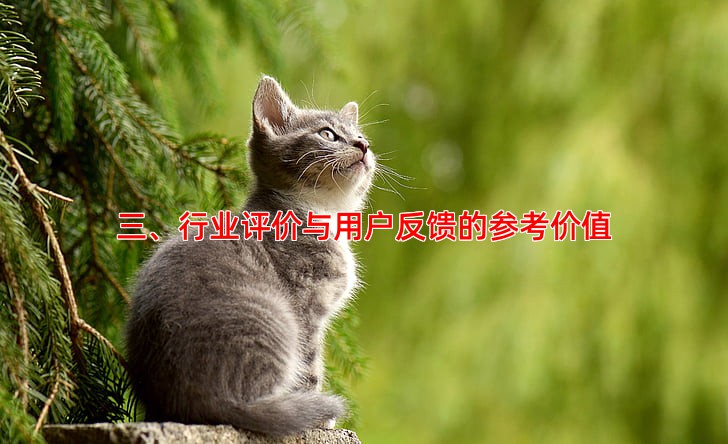 三、行业评价与用户反馈的参考价值