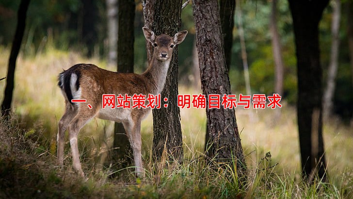 一、网站策划：明确目标与需求
