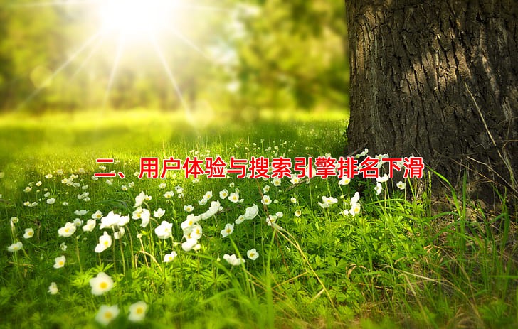 二、用户体验与搜索引擎排名下滑