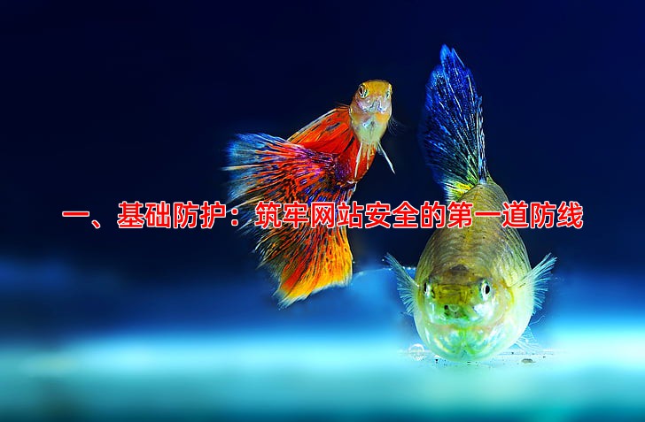 网站安全维护有哪些必须做的防护措施