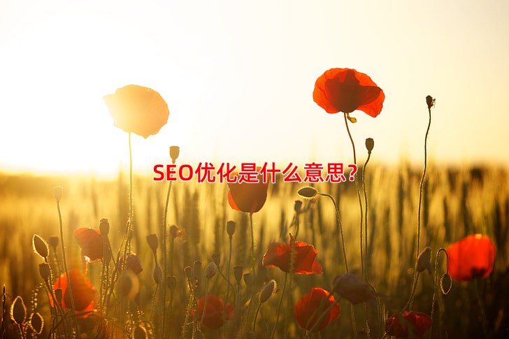 SEO优化是什么意思 网站优化的核心方法有哪些
