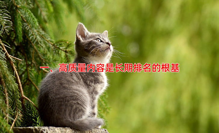 SEO优化具体怎么做才能长期稳定排名
