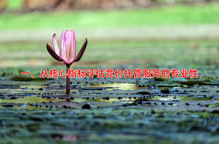 如何判断竞价托管服务是否专业