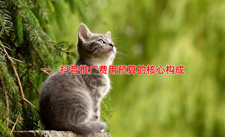 抖音推广费用预算怎么做