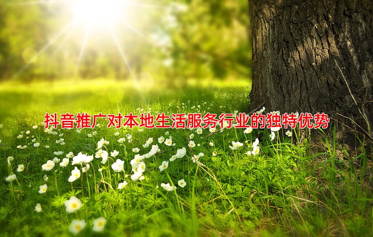 抖音推广适合本地生活服务行业吗