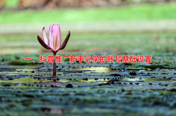 抖音推广新手必学的操作指南