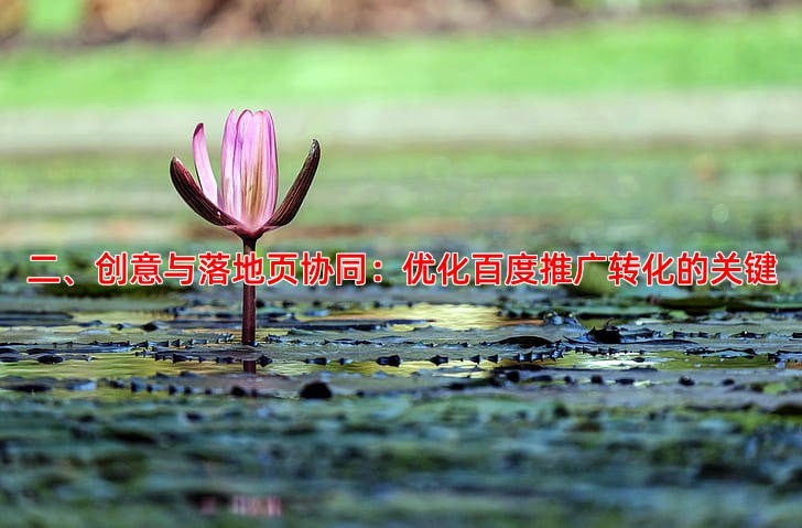 二、创意与落地页协同：优化百度推广转化的关键